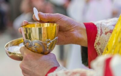 Los 7 Frutos de la Comunión en la Vida Espiritual