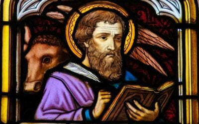 6 Cosas que no Sabías de San Lucas